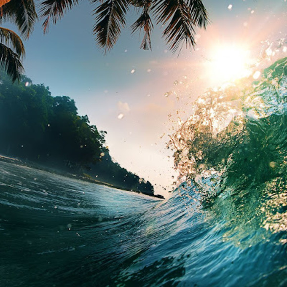 Meet your Posher, Travis - Picture 1 of 1